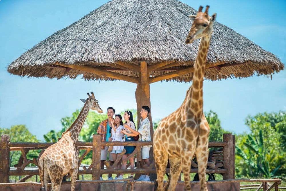 vinwonder safari nam hội an